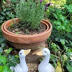 Bienenhaus Casa vacanze *