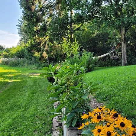 Сasa de vacaciones Bienenhaus *