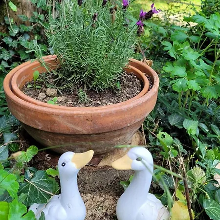 Bienenhaus * Dornhan