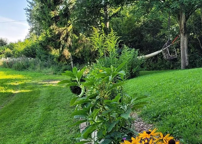 Ferienhaus Bienenhaus *