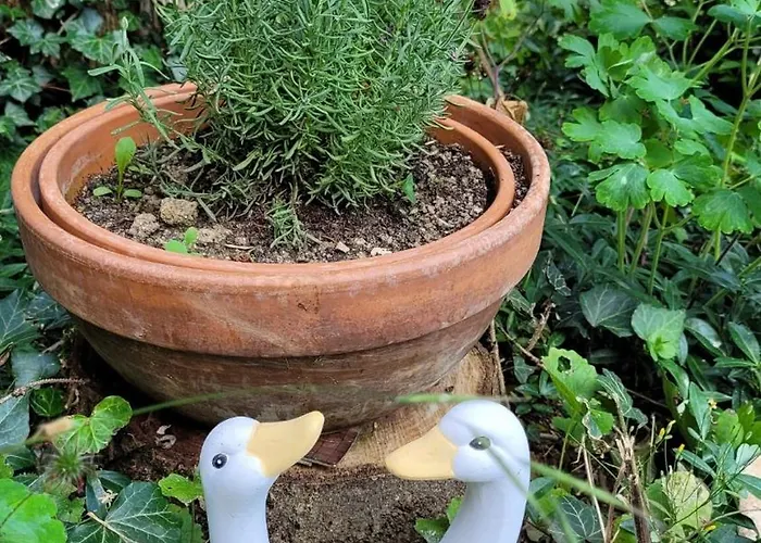 Bienenhaus * Dornhan