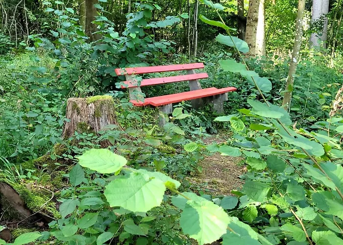 Ferienhaus Bienenhaus